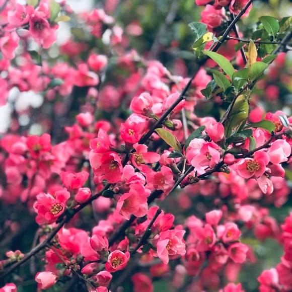 Meet your Posher, Becky - Picture 1 of 1